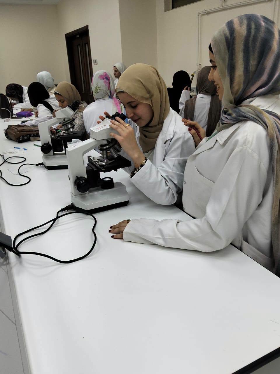تدريبات الطب البيطري بجامعة المنوفية الأهلية